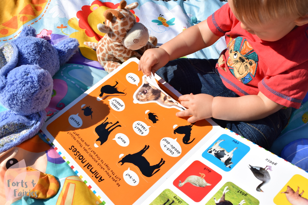 Discover Your First 100 Animals With Lift The Flap Forts And Fairies